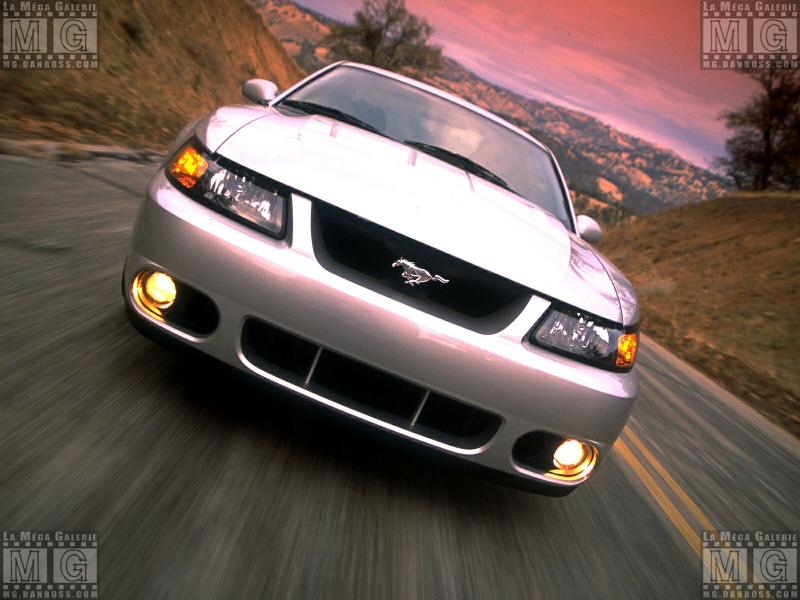 Ford - Mustang - Cobra - 011
