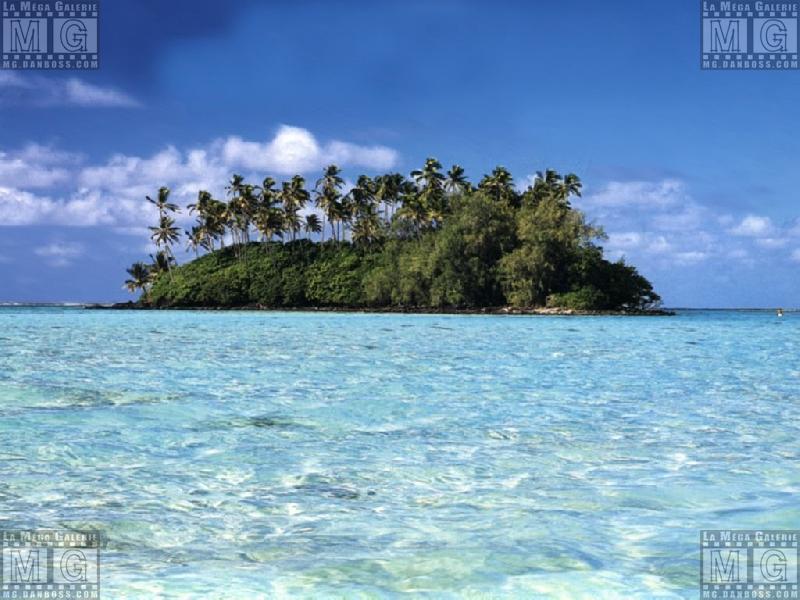 Paysages - Aquatique - 048