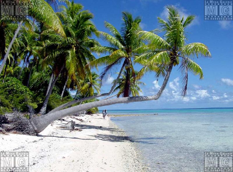 French Polynesia