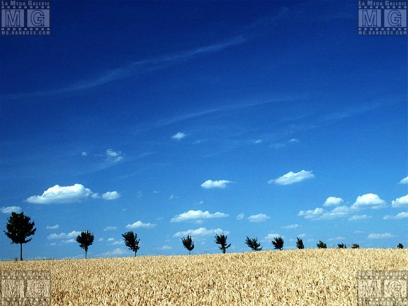 Paysages - Ciels - 242