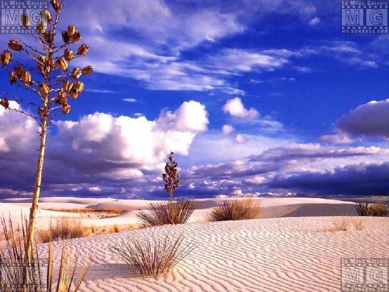 Paysages - Desert - 026