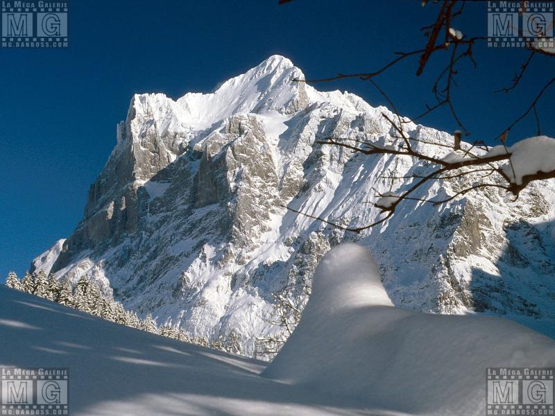 Paysages - Montagne - 207