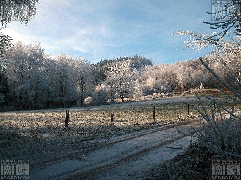 Paysages - Hiver - 035