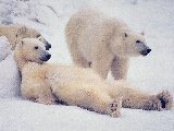 Ours 06