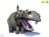Croc 2 - Hippo