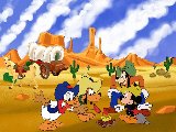 Donald & Co