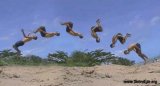 capoeira