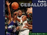 Sports - Basketball - 043