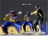 Sports - Cricket - 039