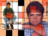 Sports - Cricket - 075
