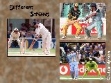 Sports - Cricket - 082