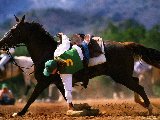 Sports - Equitation - 002
