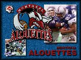 Sports - Football Canadien - 014