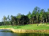Sports - Golf - 010