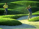 Sports - Golf - 015