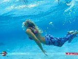 Sports - Natation - 004