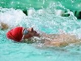 Sports - Natation - 008