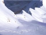Sports - Ski - 013