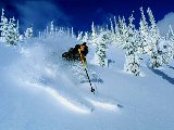 Sports - Ski - 035