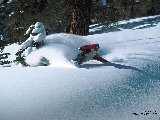 Sports - Snowboard - 014