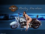 Moto - Harley Davidson - 010