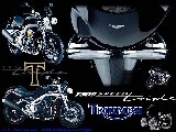 Moto - Triumph - 002