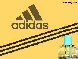 Pubs - Parfum - 032