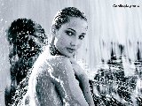 Pubs - Parfum - 056