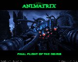 matrix