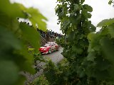 Peugeot - WRC - 017