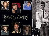 Celebrite - Bradley Cooper - 01