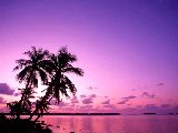 Paysages - Aquatique - 001