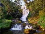 Paysages - Aquatique - 010
