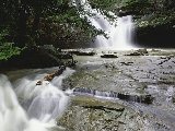 Paysages - Aquatique - 013