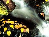 Paysages - Aquatique - 016