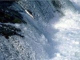 Paysages - Aquatique - 017
