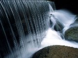 Paysages - Aquatique - 018