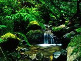 Paysages - Aquatique - 019