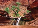 Paysages - Aquatique - 021