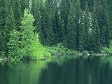 Paysages - Aquatique - 026