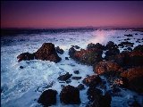 Paysages - Aquatique - 043