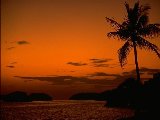 Paysages - Aquatique - 046