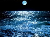 Paysages - Aquatique - 050