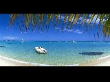 Paysages - Aquatique - 066