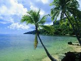 Paysages - Aquatique - 071