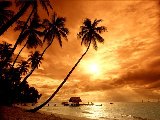 Paysages - Aquatique - 073