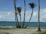 Paysages - Aquatique - 076