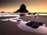 Paysages - Aquatique - 083