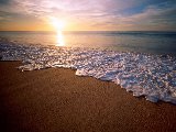 Paysages - Aquatique - 084
