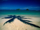 Paysages - Aquatique - 092